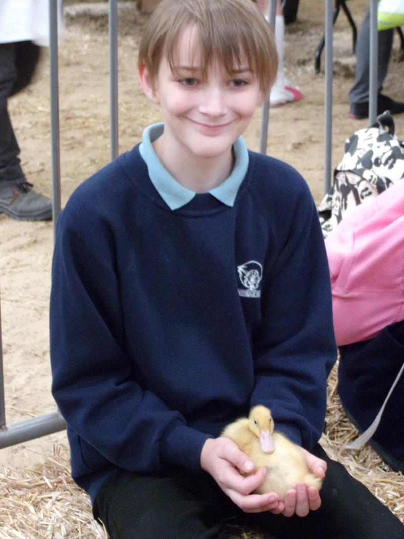 Duckling