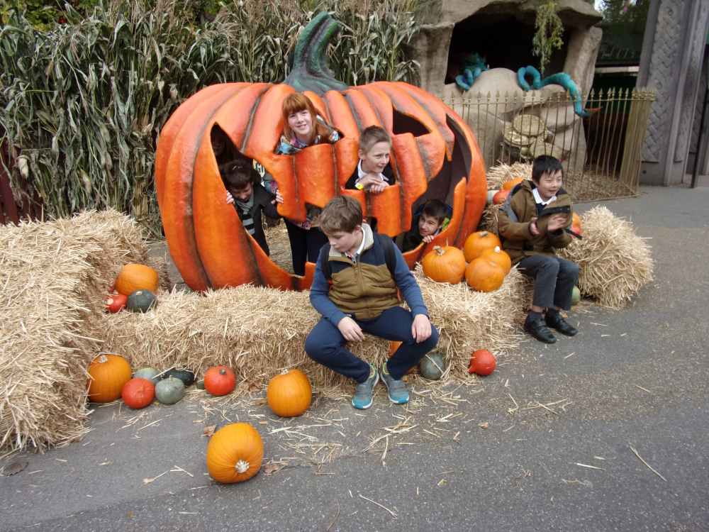 Pumpkin Chessington