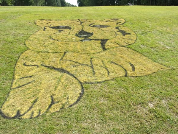 Tilgate Forest Golf Club