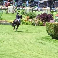 Al Shira’aa Hickstead Derby meeting