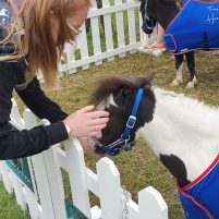 The Agria Royal International Horse Show, Hickstead